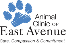 Animal Clinic of East Avenue